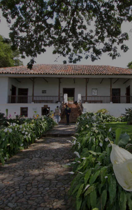 Imagen de  Descubre el encanto de El Cerrito: Naturaleza, cultura y prosperidad