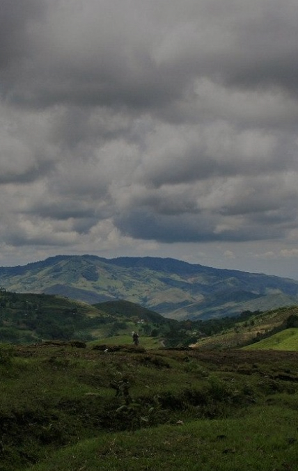 Imagen de Explora el encanto de Yotoco, un destino comprometido con la sostenibilidad y la diversidad. 