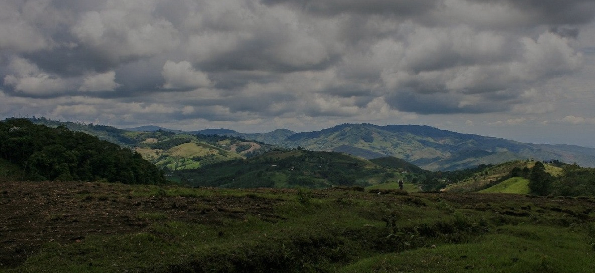 Imagen de Explora el encanto de Yotoco, un destino comprometido con la sostenibilidad y la diversidad. 