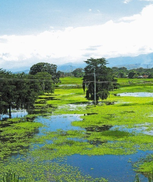 Laguna de Sonso: