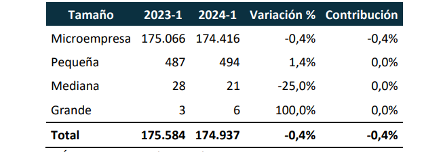 Creación de empresa por tamaño