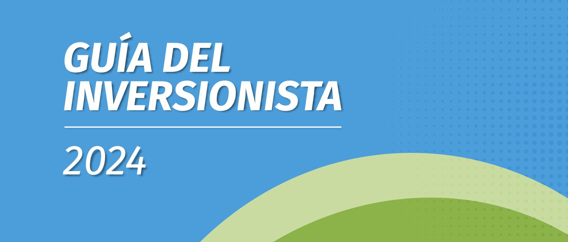 Imagen destacada - GUÍA DEL INVERSIONISTA 2024